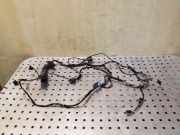 Kabel Tür vorne rechts BMW X5 (E70) 3.0 d 6937276 9116974