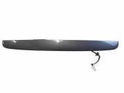 Kennzeichenbeleuchtung Verkleidung