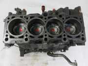 Motorblock AUDI A4 (8EC, B7) 2.0 TFSI quattro BPG