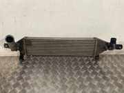 Ladeluftkühler NISSAN QASHQAI II (J11, J11_) 1.6 dCi ALL MODE 4x4-i 14461BB50B