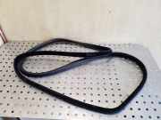 Türdichtung Volvo XC70 II (136)