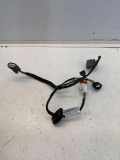 SONSTIGE KABELBÄUME RENAULT MEGANE IV (B9A/M_) 1.5 dCi 110 (B9A3) ML12