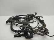 Motor Kabelbaum HONDA ACCORD VIII (CU) 2.2 i-DTEC (CU3) 69236454S