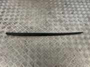 Zierleiste Windschutzscheibe Frontscheibe AUDI Q5 (FY) SQ5 TFSI quattro 80A854327B