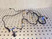 Kabel Tür Audi A4 (8K, B8) 8K0971693