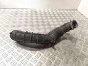 Andere Röhren HYUNDAI i20 (PB, PBT) 1.4 CRDi 281381j200