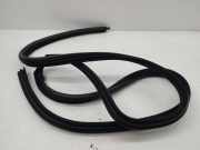 Türgummi links vorne Maserati Quattroporte V ()