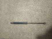 Gasfeder für Motorhaube BMW X5 (E53) 8174866