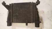 Ladeluftkühler NISSAN NOTE (E11, NE11) 1.5 dCi 144619U21A