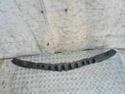 Frontstoßstangenverstärkungsschaum MERCEDES-BENZ B (W245) B 180 CDI (245.207) A1698850637