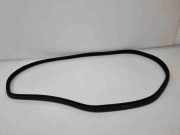 Türdichtung Land Rover Range Rover Evoque I (L538) BJ32253A10A