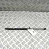 Heckklappe Gasdruckfeder links CITROËN C3 III (SX) 1.2 THP 110 9813177780