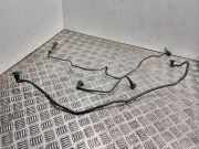 Kraftstoffleitung Ford C-Max II (DXA) J1D19C047AA