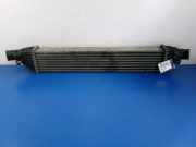 Ladeluftkühler Dodge Journey () L9282001