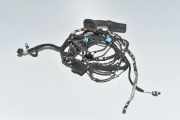 Kabel Tür BMW X7 (G07) 61129826748