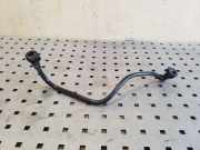 Kraftstoffschlauch Ford Transit Connect (P*2) DV619B286AB