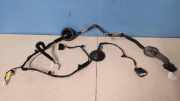 Türverkabelung hinten links KIA CARENS II (FJ) 2.0 CRDi 91660A4070