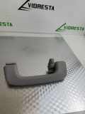 Griff Panoramadach Hyundai Tucson III (TL, TLE)