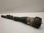 Stoßdämpfer hinten rechts MERCEDES-BENZ S (W222, V222, X222) S 350 BlueTEC / d (222.132, 222.032, 222.123) A2223200413