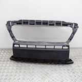 Kühlergrill Citroen Jumper III Kasten () 1315077070