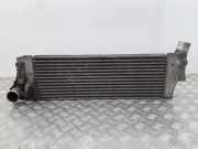 Ladeluftkühler RENAULT MEGANE II Estate (KM0/1_) 1.5 dCi (KM13) 8200115540F 8200115540F