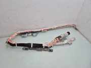Dach SRS rechts HONDA CIVIC VIII Hatchback (FN, FK) 2.2 CTDi (FK3) 78800SMGG815M1