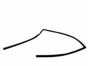 Türdichtungsgummi vorne links TOYOTA RAV 4 IV (_A4_) 2.0 D (ALA40_)