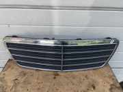 Gitter MERCEDES-BENZ E (W210) E 200 CDI (210.007) 2108800583