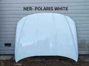 Motorhaube JAGUAR XF (X260) 2.0 D GX6319H237 GX6319H237AB