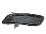 Gitter vorne unten BMW X3 (F25) xDrive 30 d 7249596