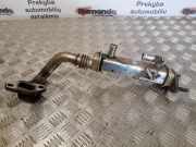 Abgaskühler Nissan X-Trail I (T30)