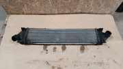 Ladeluftkühler FORD S-MAX 2.0 TDCi 6g919l440af