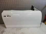 Tür links vorne Renault Laguna III (T)