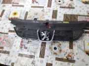 Kühlergrill oben Peugeot 406 Break (8E/F) 146774
