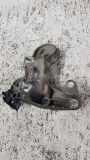 Motorhalter links AUDI A6 Avant (4B5, C5) 2.8 quattro 4B0199352B