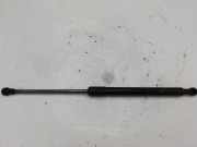 Gasfeder für Motorhaube BMW 3er Touring (E91) 51237129190