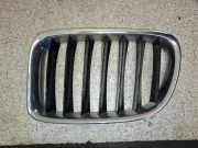 Vorderer oberer Gitter BMW X1 (E84) xDrive 18 d 2993305