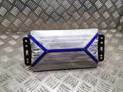 Armaturenbrett Airbag RENAULT MEGANE II Estate (KM0/1_) 1.9 dCi 8200292043c