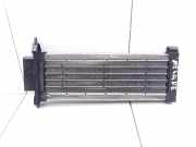 Elektrischer Schulterschulterkühler RENAULT MEGANE II (BM0/1_, CM0/1_) 1.5 dCi (BM0F, CM0F) 0575649 5562844