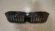 Vorderer oberer Gitter BMW 3 (G20, G28) 3 (G20) 330 i 5113192976