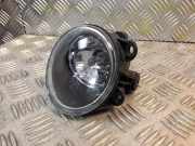 Nebelscheinwerfer links BMW 5 Gran Turismo (F07) 530 d