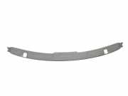 Windschutzscheibenverkleidung MERCEDES-BENZ SL (R129) 500 SL (129.066) A1296905030 1296905030