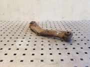 Querlenker hinten links