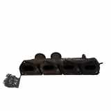 Auspuffkrümmer Citroen C5 III (RD)