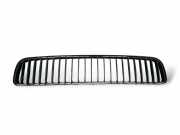 Gitter vorne unten SKODA ROOMSTER (5J) 1.4