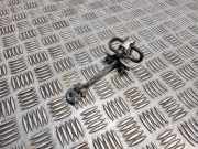 Türanschlag hinten links