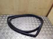 Dichtungsgummi der hinteren Tür (an der Karosserie) TOYOTA RAV 4 II (_A2_) 2.0 D-4D 4WD (CLA20_, CLA21_)