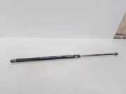 Heckklappe Gasdruckfeder links RENAULT KANGOO (KC0/1_) 1.5 dCi (KC08, KC09)