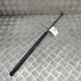 Heckklappe Gasdruckfeder links VW TRANSPORTER VI (T6) Furgon (SGA, SGH) 2.0 TDI 7E0827550B