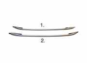 Dachreling links Ford Kuga II (DM2)